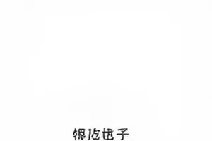 灯光亮起前三分钟的舞台监督台